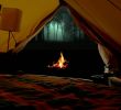 Relaxing Fireplace Unique Virtual Camping with Campfire Crickets Owls and Other