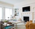 Restoration Hardware Fireplace Screen Beautiful 21 Traditional Decor Ideas for Living Rooms
