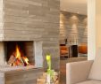 Round Indoor Fireplace New 17 Best Ideas About See Through Fireplace Pinterest