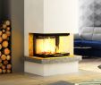 Royal Fireplace New Kaminbausatz Royal Extra Volcano 3plh 11kw Dreiseitig Mit Hebetür