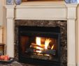 Rustic Fireplace Surround New Well Known Fireplace Marble Surround Replacement &ec98