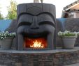 Salters Fireplace New 451 Best Akua S Tiki island Images