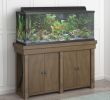 Silver Fireplace Tv Stand Inspirational Avenue Greene Woodgate 55 Gallon Aquarium & Entertainment