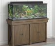 Silver Fireplace Tv Stand Inspirational Avenue Greene Woodgate 55 Gallon Aquarium & Entertainment