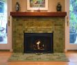 Slate Tile Fireplace Inspirational Tiles Birds & Bees Fireplace