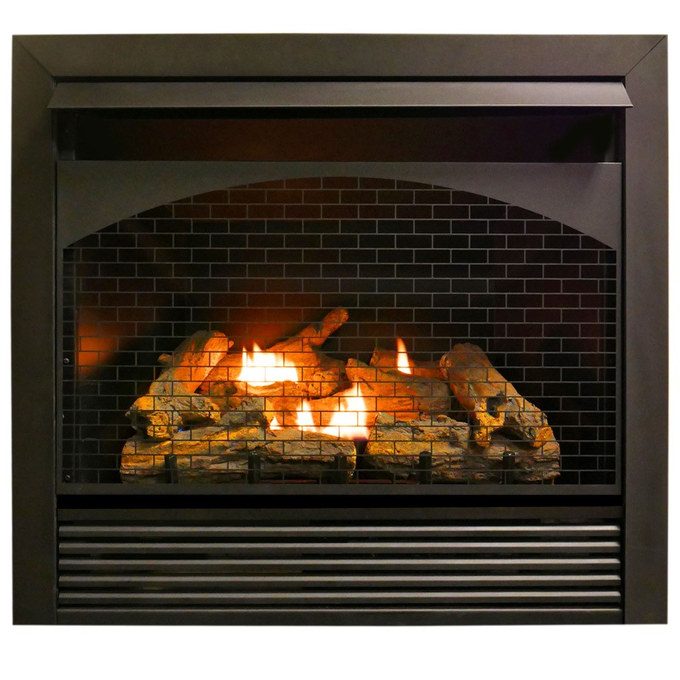Small Gas Fireplace Stove Unique Gas Fireplace Insert Dual Fuel Technology with Remote Control 32 000 Btu Fbnsd32rt Pro Heating