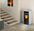 Soapstone Fireplace Elegant Edilkamin Aris Up Plus