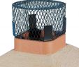 Spark Guard Fireplace Screens Beautiful 12 Round Galvanized Spark Arrestor and Animal Screen