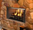 Stainless Steel Fireplace Insert Fresh Outdoor Lifestyles Villa Gas Pact Outdoor Fireplace