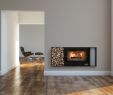 Stainless Steel Fireplace Insert Unique Cladding Fireplaces