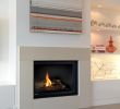 Stainless Steel Fireplace Surround Elegant Montigo H34df Direct Vent Gas Fireplace – Inseason
