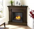 Sterno Fireplace Elegant What is A Gel Fireplace Charming Fireplace