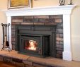 Stoves and Fireplaces Beautiful I Like This Pellet Stove with A Mantel