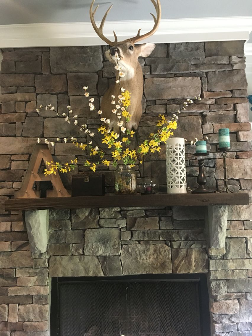 Summer mantel around the deer mount that works great in fall 0d1bbaf6fa00f3cf1e33c5151a00e215