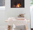 Superior Fireplace Dealers Inspirational 42 Best Woonkamer Images On Pinterest