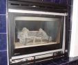 Superior Gas Fireplace Parts Luxury I Have A Superior Fireplace Ds 36tn 2 How Do You Remove