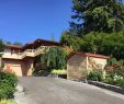 Tall Corner Fireplace Fresh Hillside Haven Ann Stohl S Timeless Custom Home