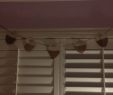 Target Fireplace Screen Elegant This Tar Acorn Garland Only Cost $3 but Makes Your Room