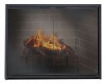 29 Unique Tempered Glass Fireplace Doors