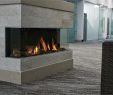 Three Sided Fireplace Awesome Linear Gas Fireplace Prices Canada Three Sided Gas Fireplace