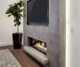 Touchstone 80004 Sideline Electric Fireplace Beautiful touchstone the Sidelineâ¢ 50" Recessed Electric Fireplace