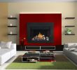 Two Sided Fireplace Insert New Chd46