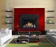 Two Sided Fireplace Insert New Chd46