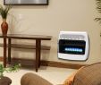 Vent Free Wall Mount Gas Fireplace New Dyna Glo 30 000 Btu Liquid Propane Blue Flame Vent Free Wall Heater