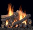 Vented Gas Fireplace Logs with Remote Fresh Pin On House