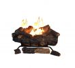 Vented Gas Fireplace Logs with Remote Fresh Ventless Gas Fireplace Logs Gas Logs the Home Depot