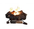 Vented Gas Fireplace Logs with Remote Fresh Ventless Gas Fireplace Logs Gas Logs the Home Depot
