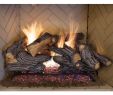 Vented Gas Fireplace Logs with Remote Inspirational 24 In Split Oak Vented Gas Log Set Dual Burner Realistic
