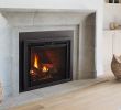 Vented Gas Fireplace with Blower Elegant Escape Gas Firebrick Inserts