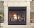 Ventless Gas Fireplace Hearth Fresh Fireplace Results Home & Outdoor