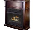 Ventless Lp Gas Fireplace Beautiful Pleasant Hearth Vff Ph26d T tobacco Dual Fuel Vent Free