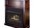 Ventless Lp Gas Fireplace Beautiful Pleasant Hearth Vff Ph26d T tobacco Dual Fuel Vent Free