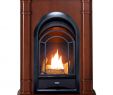 Ventless Lp Gas Fireplace Inspirational Pro Fs100t 3w Ventless Fireplace System 10k Btu Duel Fuel thermostat Insert and Walnut Mantel