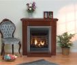Ventless Outdoor Fireplace Best Of Ventless Gas Fireplace Stores Near Me Vented or Unvented Gas