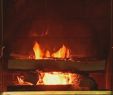 Village Fireplace New the First Noel Christmas Classics the Yule Log Edition