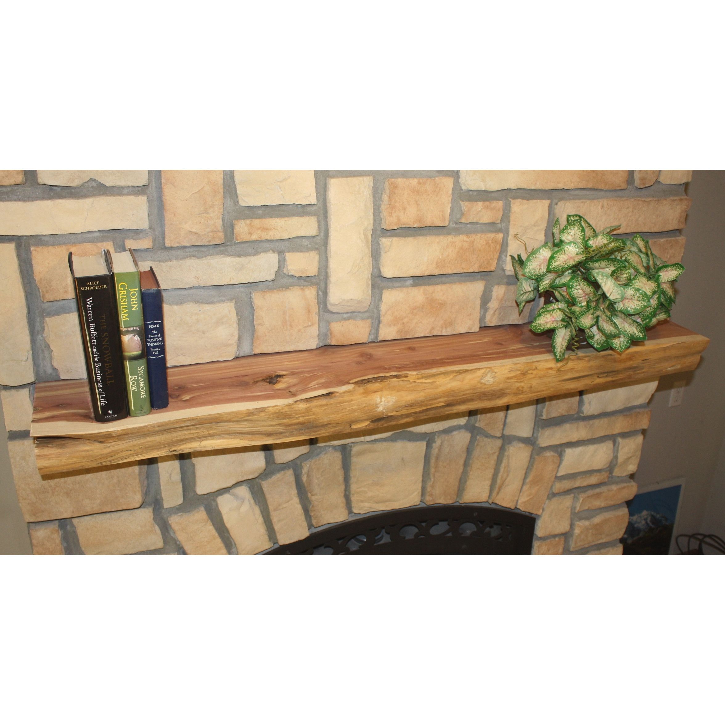 Wayfair Fireplace Mantel Unique Fireplace Shelf Mantel