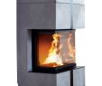 Weber Fireplace Inspirational Kaminbausatz Camina S16 4 Kw Kaufen