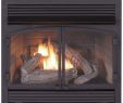 What is A Ventless Gas Fireplace New Gas Fireplace Inserts Fireplace Inserts the Home Depot