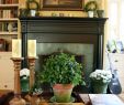 What to Put Above Fireplace Fresh Decorating Fireplace Tv Decorated Fireplace