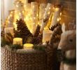 White Birch Fireplace Logs Best Of Natural Christmas Decorations