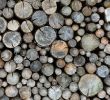 White Birch Fireplace Logs Best Of the Best Firewood for Your Wood Stove or Fireplace