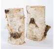 White Birch Fireplace Logs New Birch Log Set Of 5 by Gold Leaf Design Group
