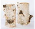 White Birch Fireplace Logs New Birch Log Set Of 5 by Gold Leaf Design Group