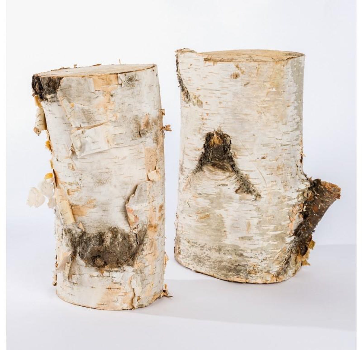 White Birch Fireplace Logs New Birch Log Set Of 5 by Gold Leaf Design Group