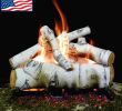 White Birch Fireplace Logs New Payandpack Myard Deluxe 18 Inches Sierra Birch Fire Gas Logs