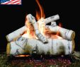 White Birch Fireplace Logs New Payandpack Myard Deluxe 18 Inches Sierra Birch Fire Gas Logs